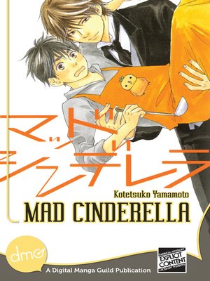 cover image of Mad Cinderella